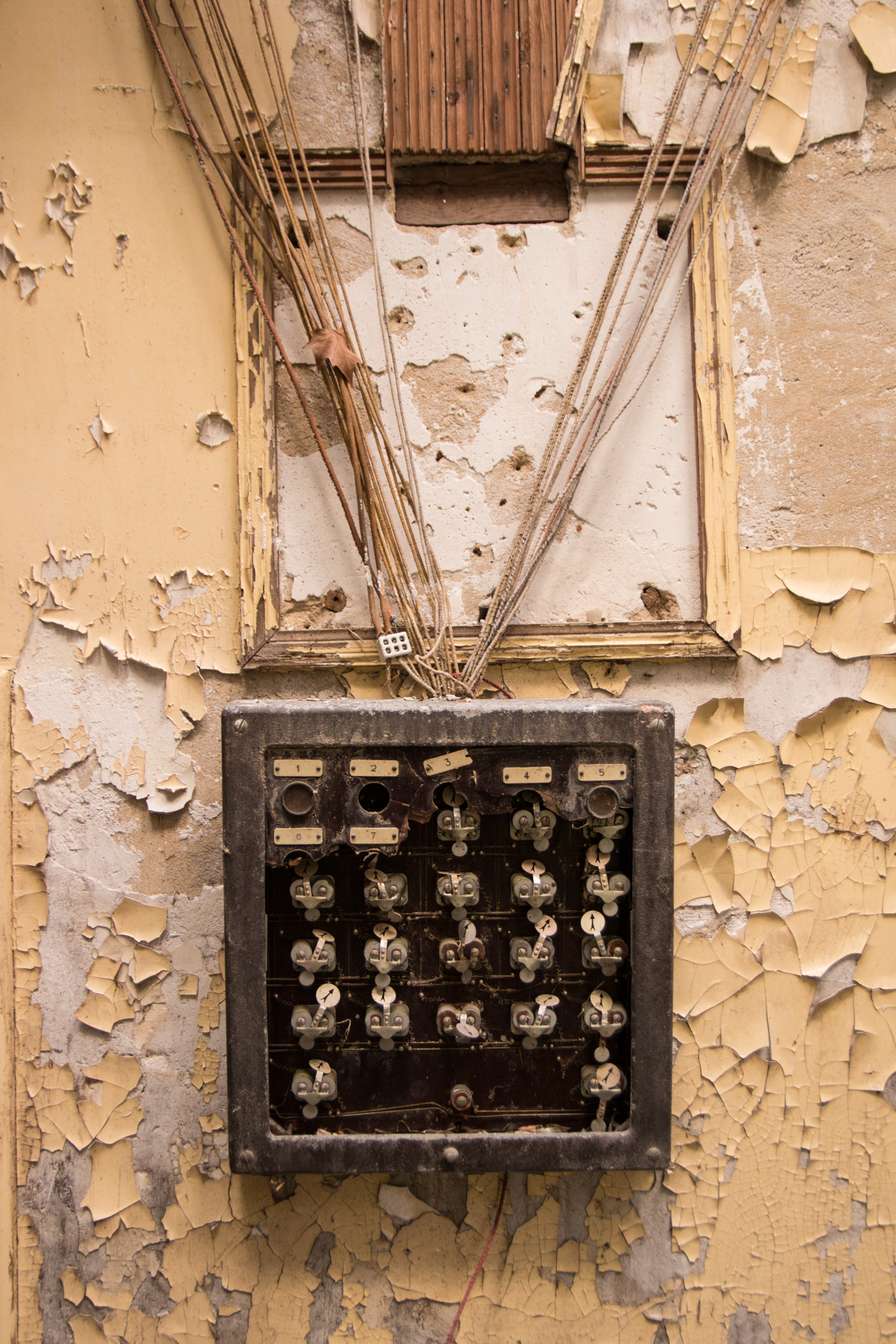 L' Oeil Noir Photographie